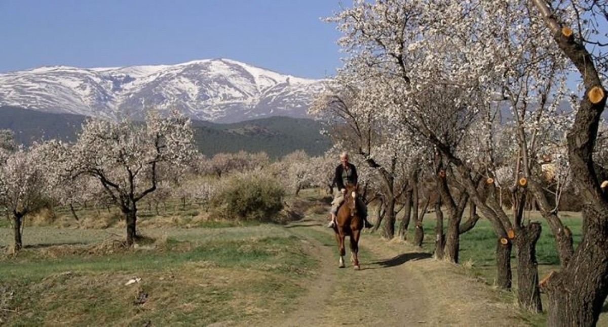 Paardrijvakanties in Spanje header afbeelding