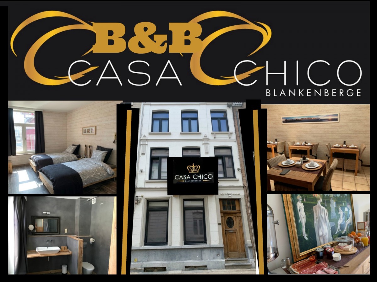 B&B  CASA CHICO BLANKENBERGE      header afbeelding