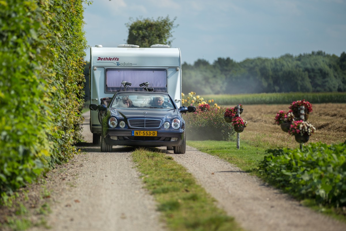 Boerderijcamping Varsenerveld (Regio Zwolle-Vechtdal-Ommen) header afbeelding