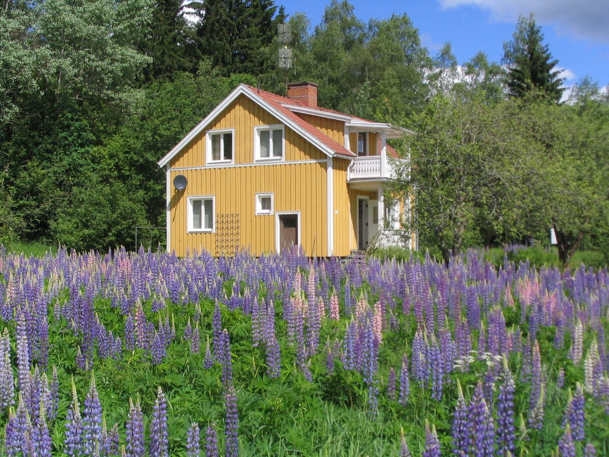 Romantisch huis in midden Zweden header afbeelding