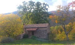 3a Casa Ciliegi autumn.jpg