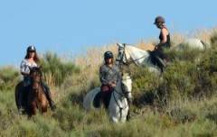 horse-trekking-riding-andalucia-spain-95-300x190.jpg