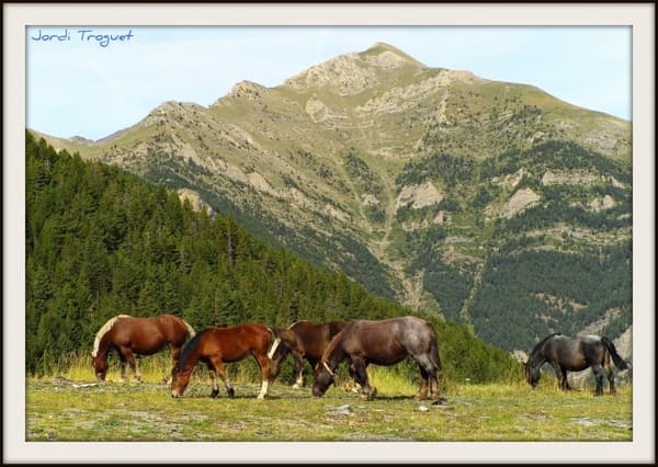 douane Andorra © Public domain Flickr / Jordi Troguet Ribes 