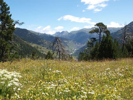 © Public domain Flickr / Klaas Brumann / Eten drinken uitgaan Andorra