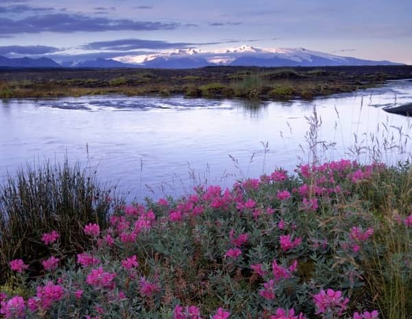 lokale websites IJsland © VisitIceland