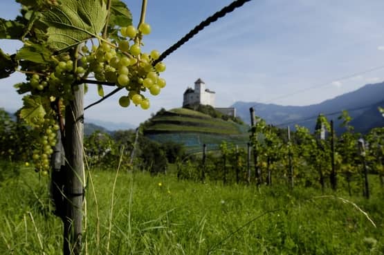 brochures Liechtenstein © Liechtenstein Marketing / Martin Walser 