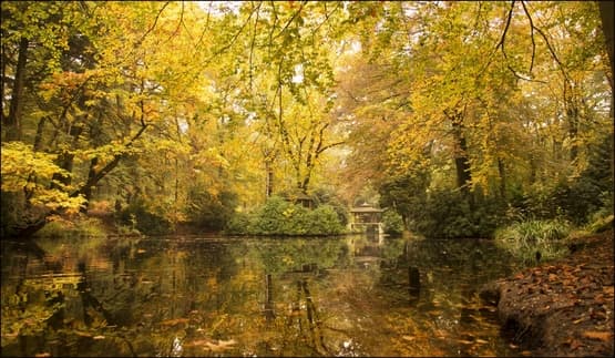 vakantie webcams Limburg © Flickr.com / Bert Kaufmann