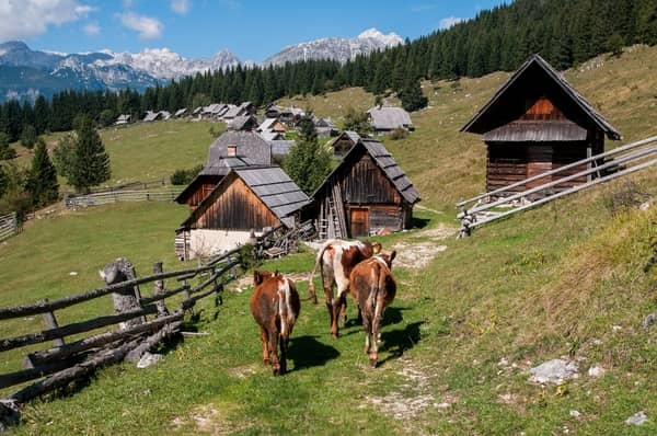 lokale toeristische websites Slovenië ©  Aleš Zdešar | www.slovenia.info